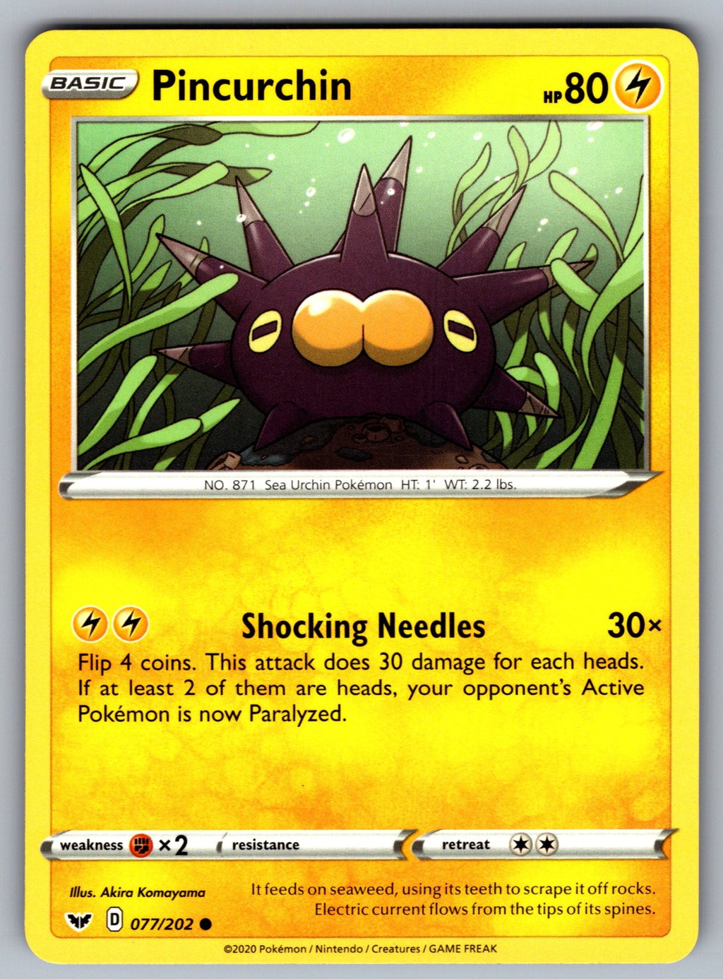 Pincurchin Common SWSH01: Sword & Shield Base Set 077/202 NM 2020
