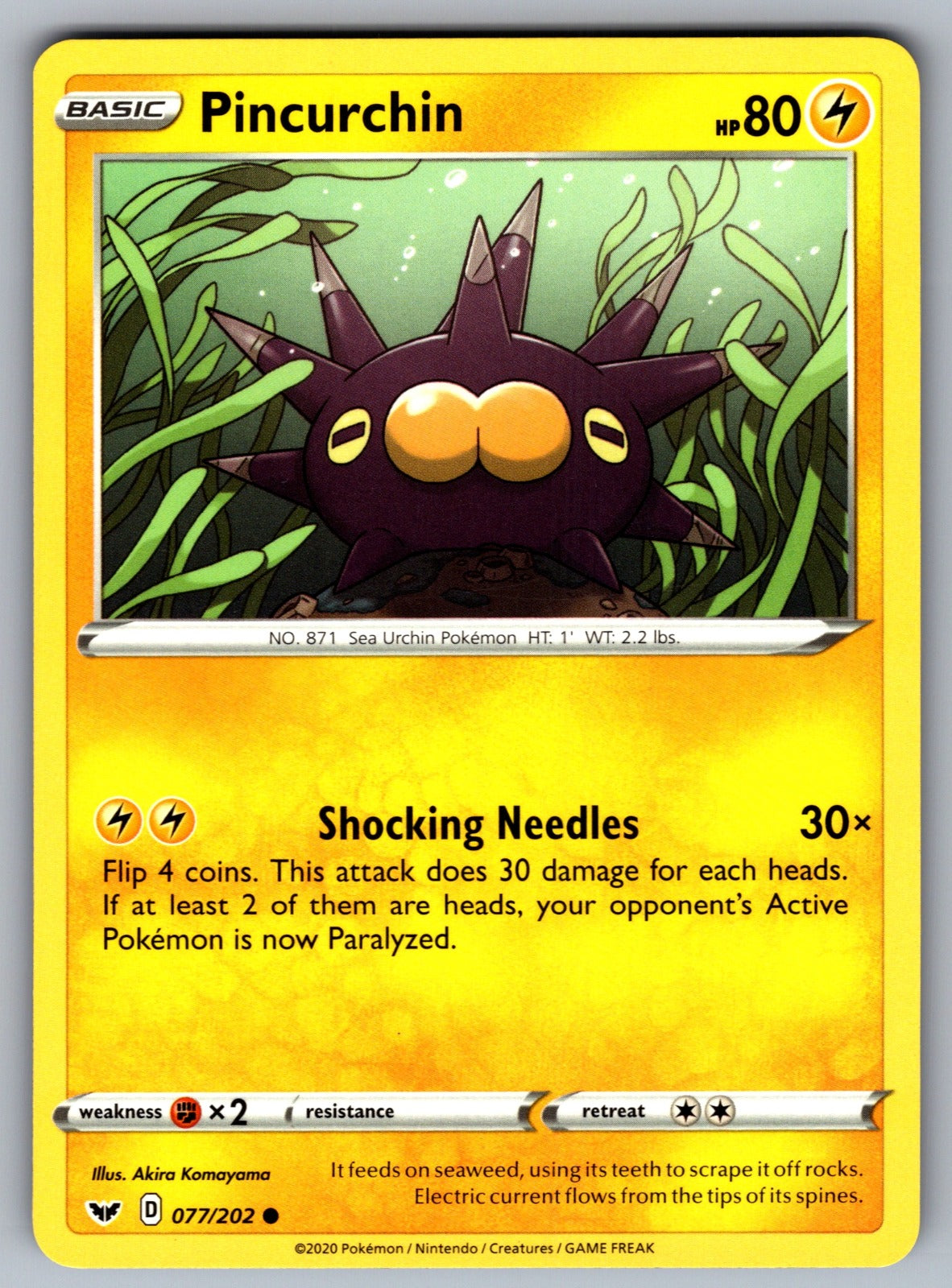 Pincurchin Common SWSH01: Sword & Shield Base Set 077/202 NM 2020