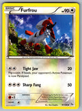 Furfrou Uncommon XY - Flashfire 87/106 LP 2014