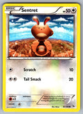Sentret Common XY - Flashfire 81/106 LP 2014