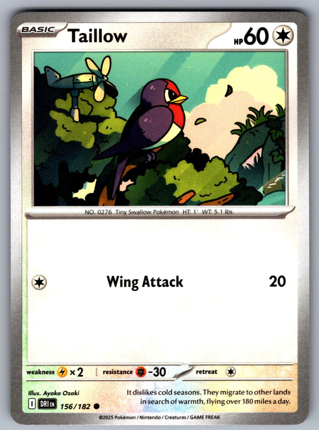Taillow Common SV10: Destined Rivals 156/182 NM 2025