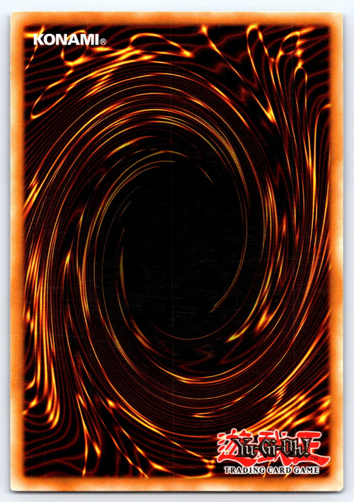Black-Winged Dragon 1st Edition Common Legendary Duelists: White Dragon Abyss LE (Back)
