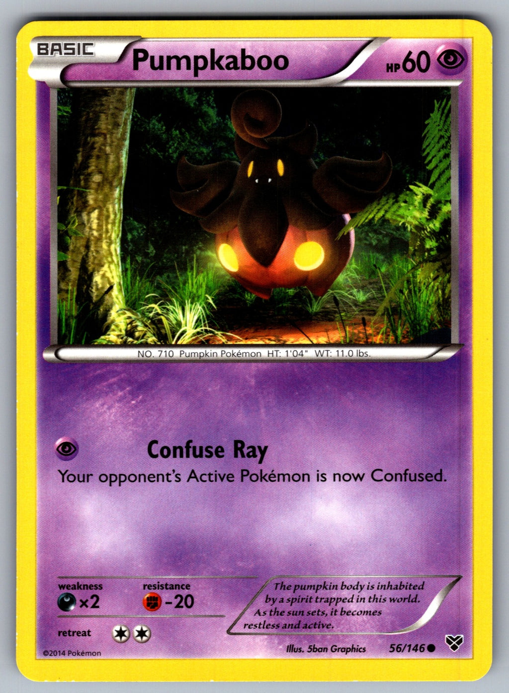 Pumpkaboo Common XY Base Set 56/146 LP 2014
