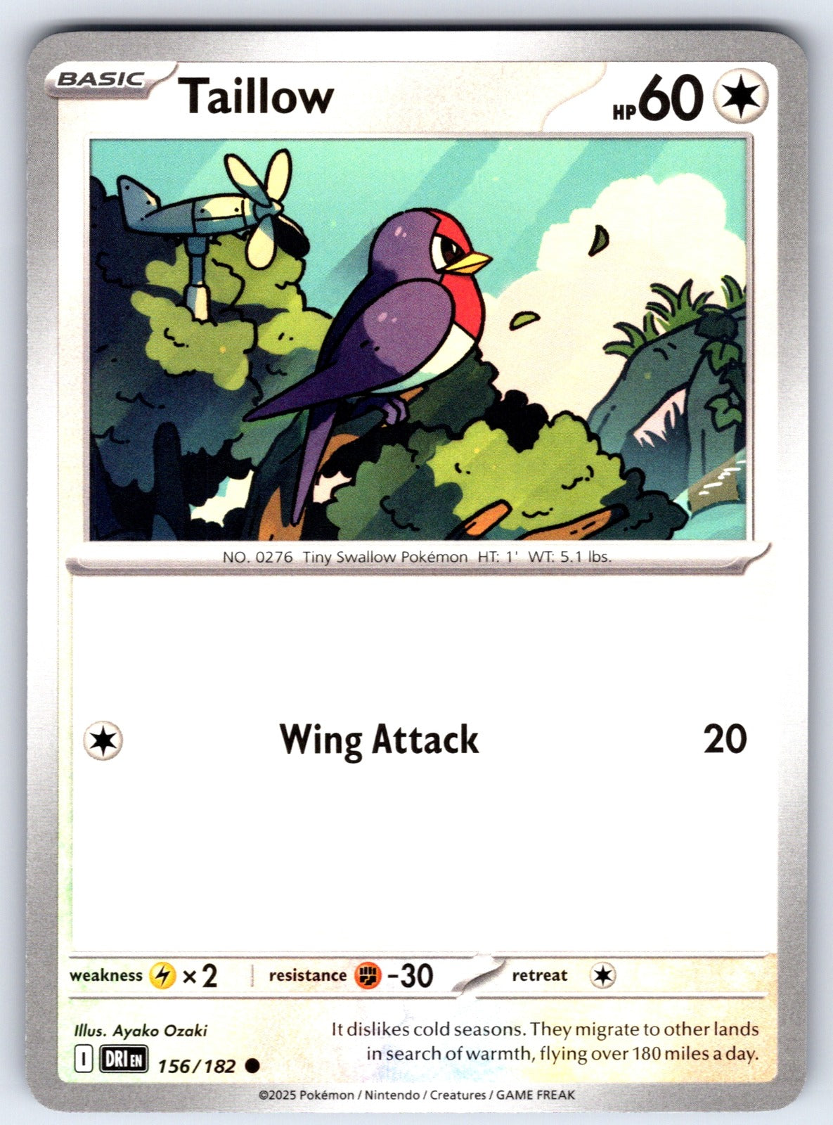 Taillow Common SV10: Destined Rivals 156/182 NM 2025
