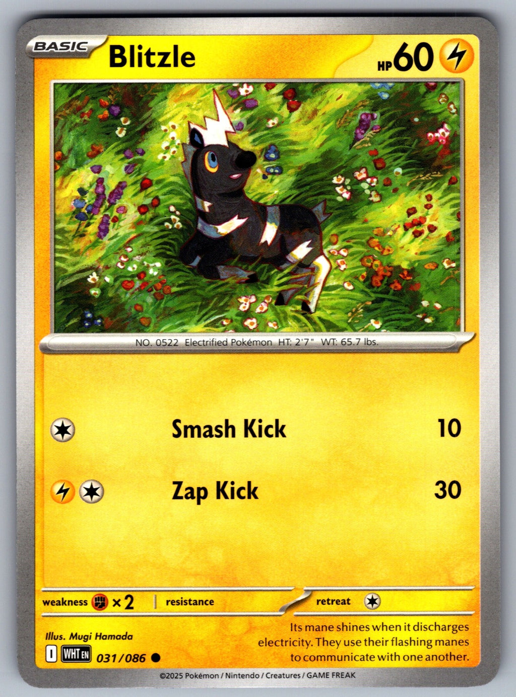 Blitzle Common SV: White Flare 031/086 NM 2025