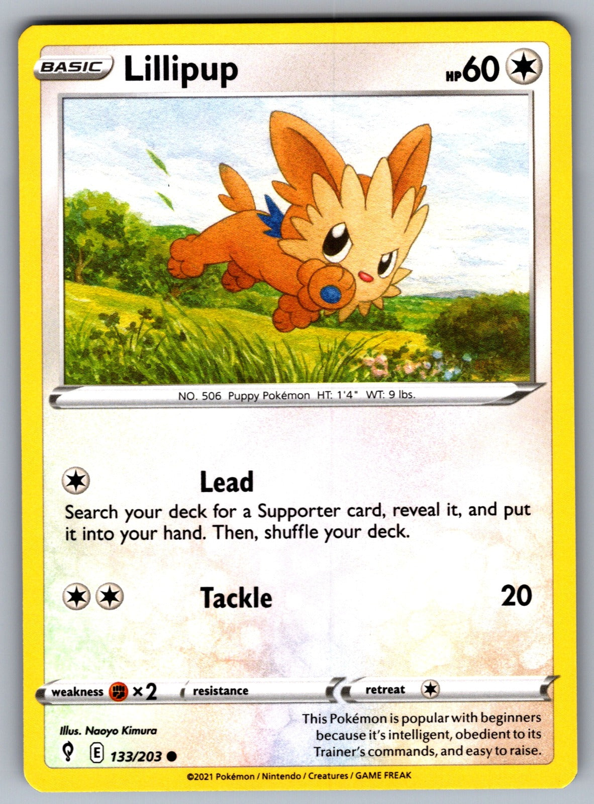 Lillipup Common SWSH07: Evolving Skies 133/203 NM 2021