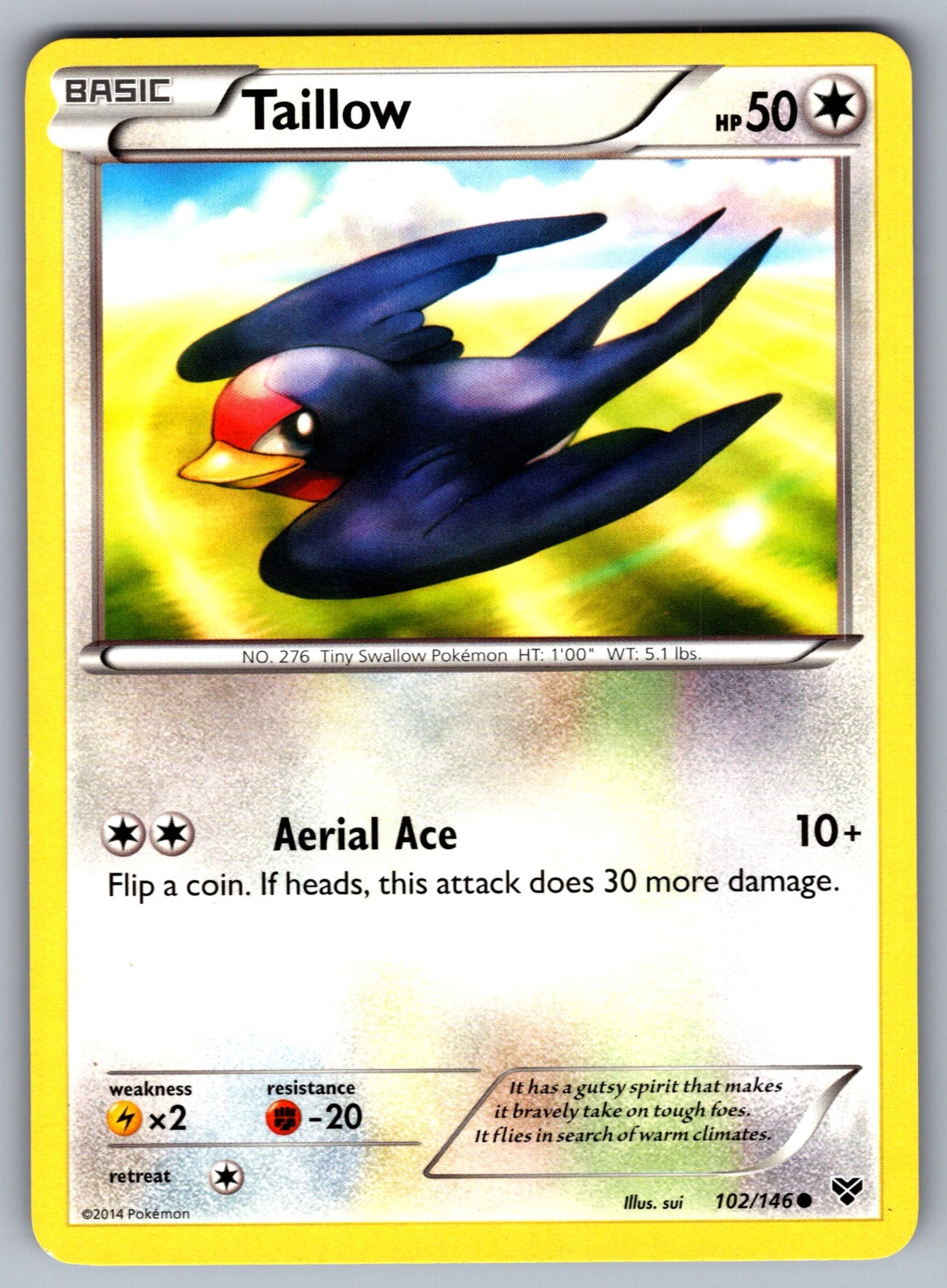 Taillow Common XY Base Set 102/146 LP 2014