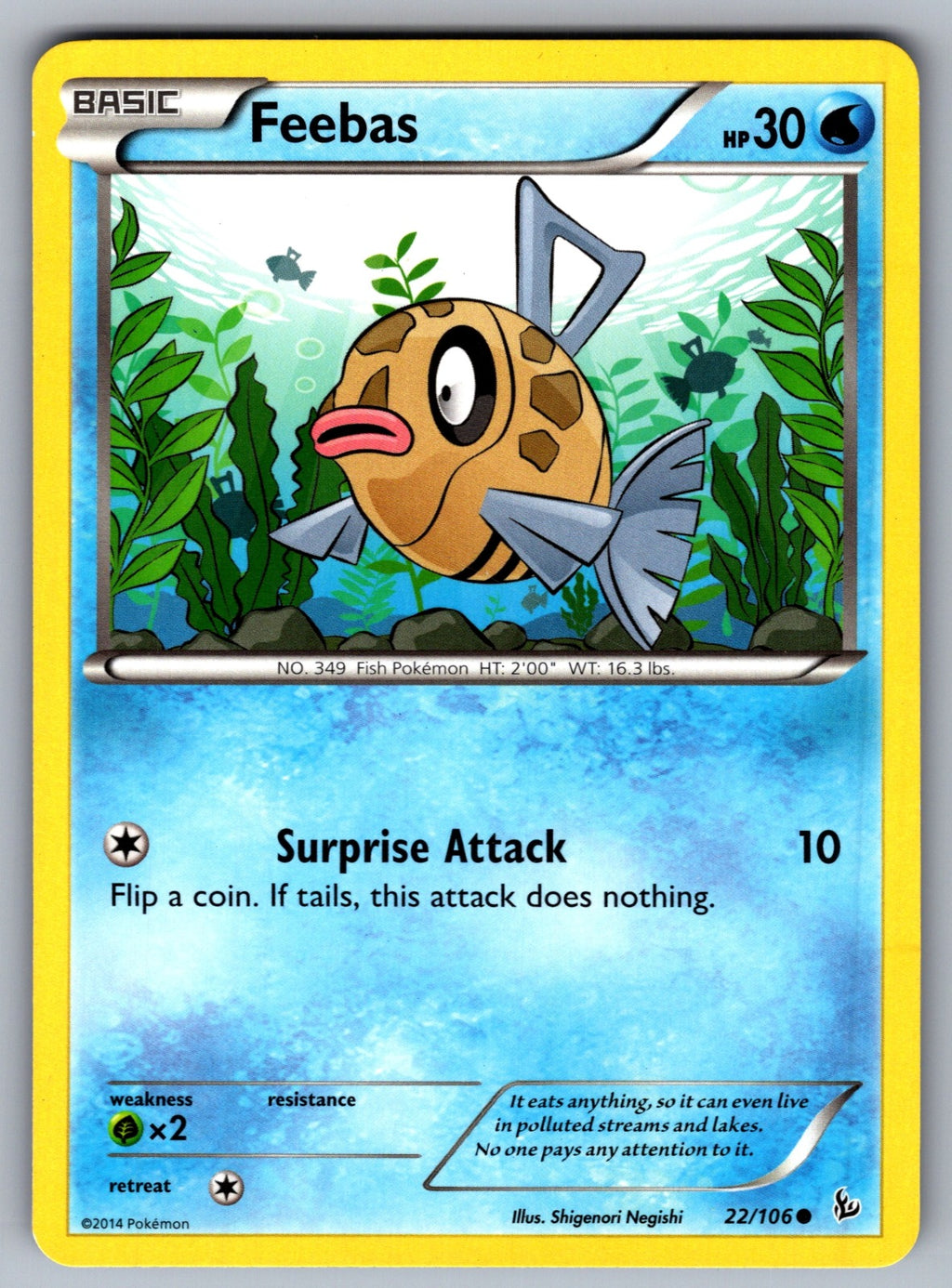 Feebas Common XY - Flashfire 22/106 LP 2014
