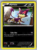 Purrloin Common XY - Phantom Forces 56/119 LP 2014