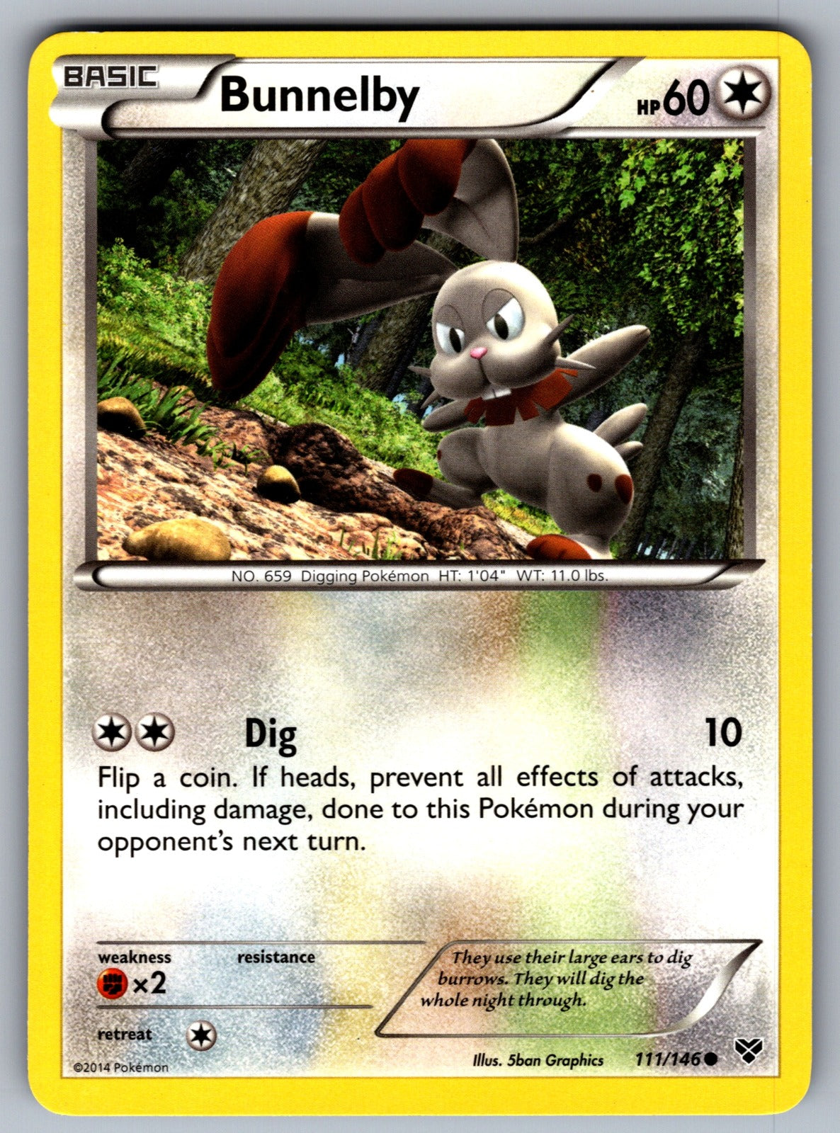 Bunnelby Common XY Base Set 111/146 LP 2014