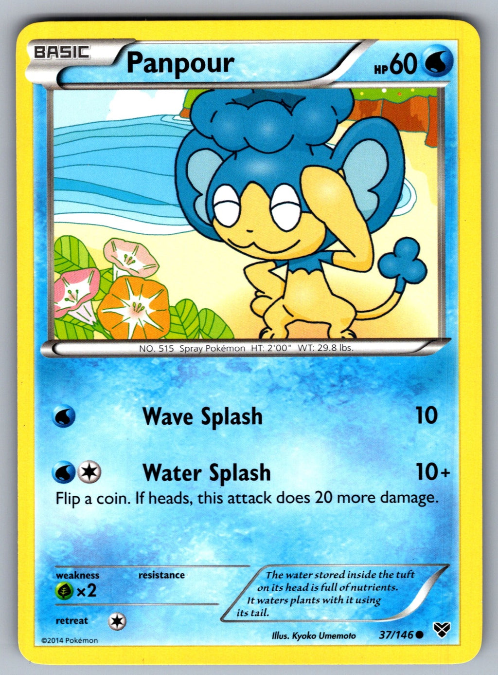 Panpour Common XY Base Set 37/146 LP 2014