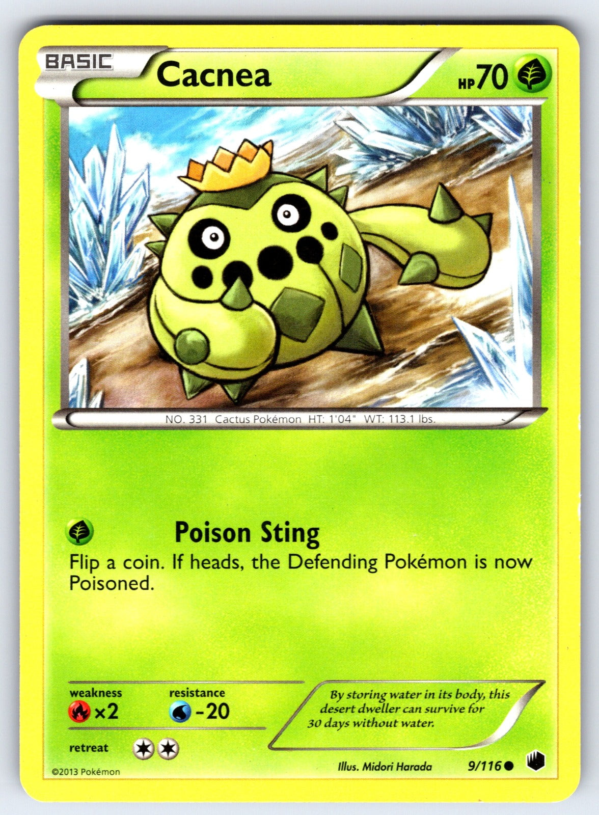 Cacnea Common Plasma Freeze 9/116 LP 2013