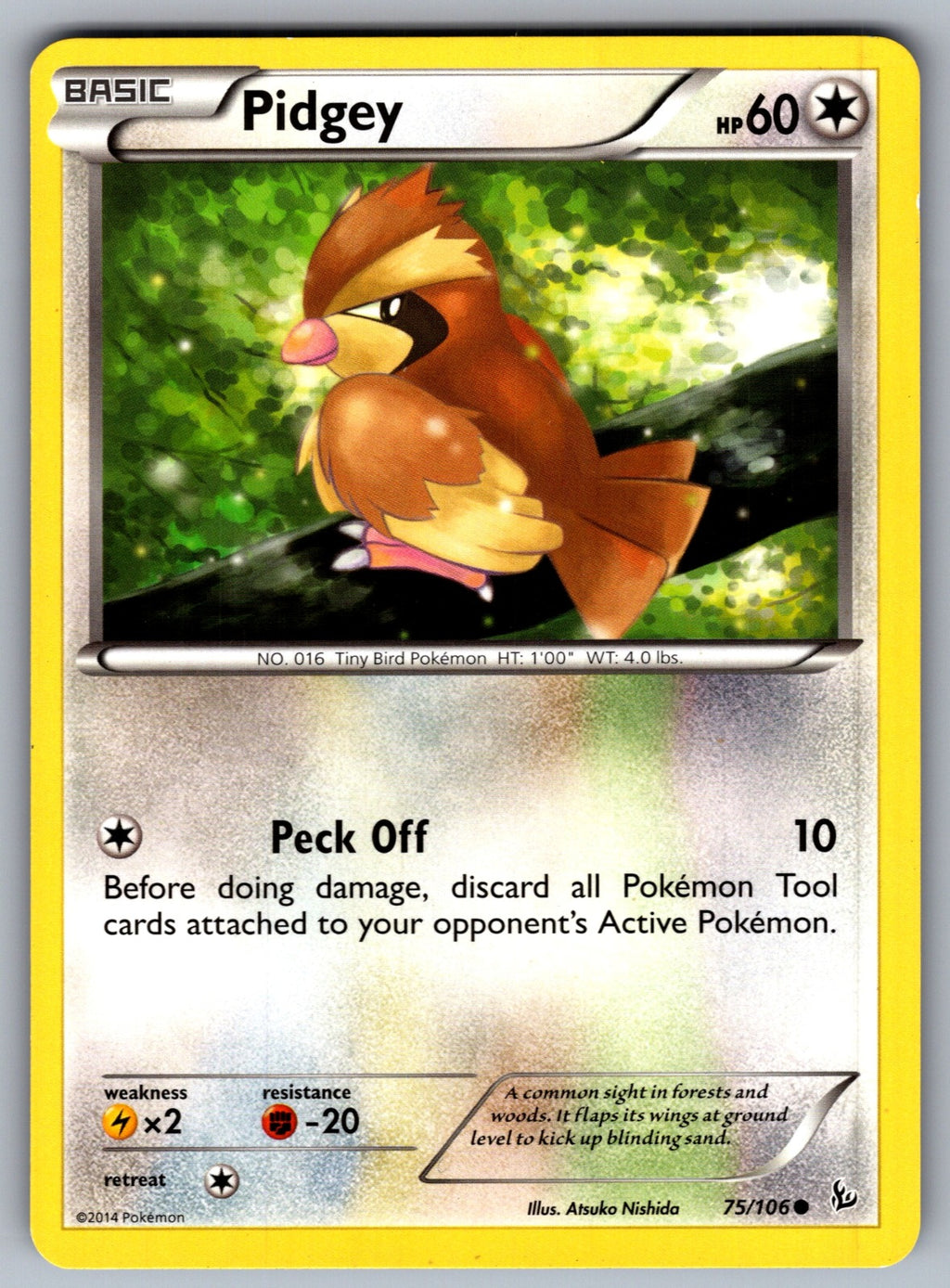 Pidgey Common XY - Flashfire 75/106 LP 2014