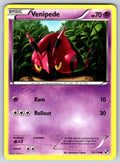Venipede Common Black and White 52/114 LP 2011