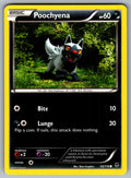 Poochyena Common XY - Phantom Forces 53/119 LP 2014