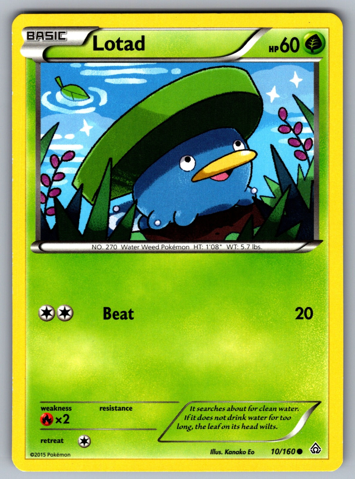 Lotad Common XY - Primal Clash 10/160 LP 2015