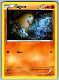 Diglett Common XY - Fates Collide 36/124 LP 2016