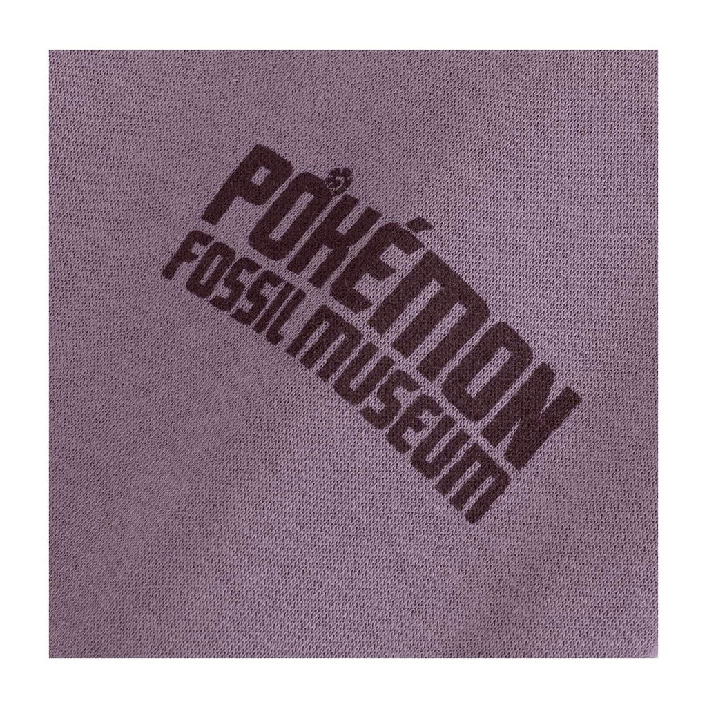 Pokémon Fossil Museum: Excavator Pikachu & Aerodactyl Pullover Hoodie - Adult 3XL