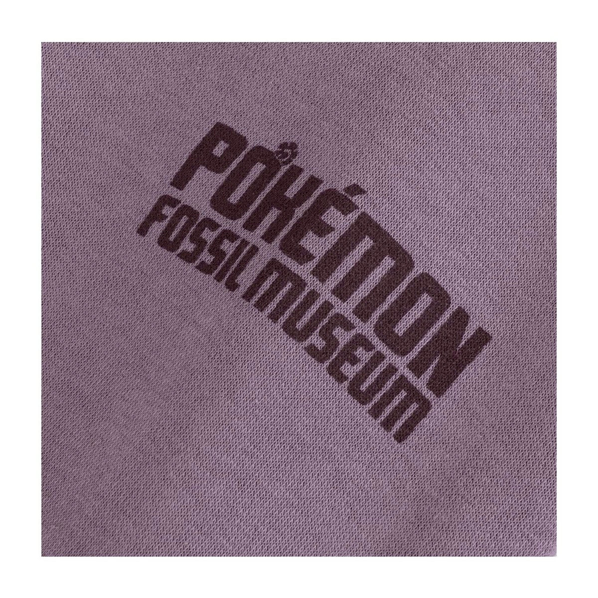 Pokémon Fossil Museum: Excavator Pikachu & Aerodactyl Pullover Hoodie - Adult 3XL