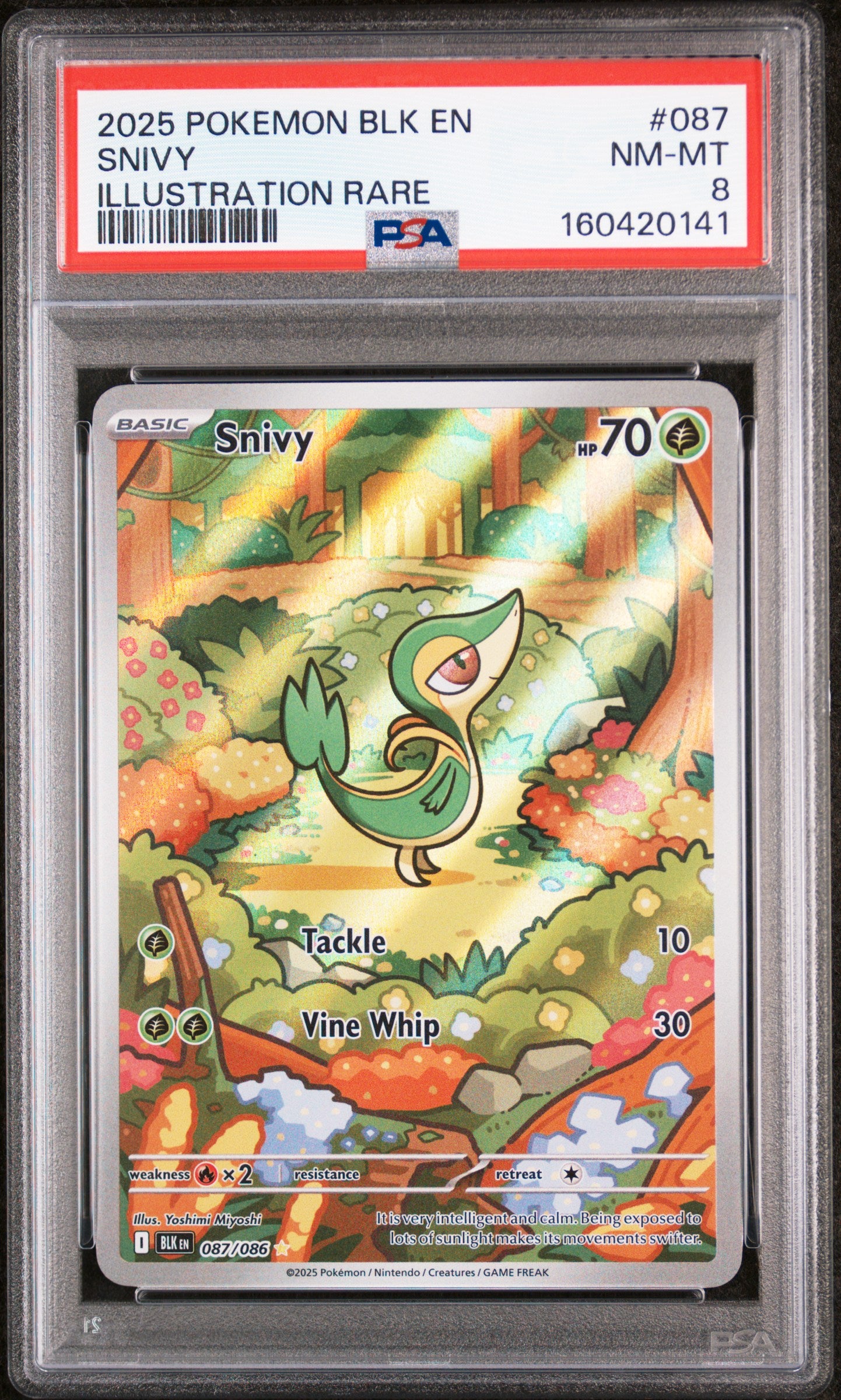 2025 POKEMON BLK EN-BLACK BOLT #087 SNIVY ILLUSTRATION RARE PSA 8